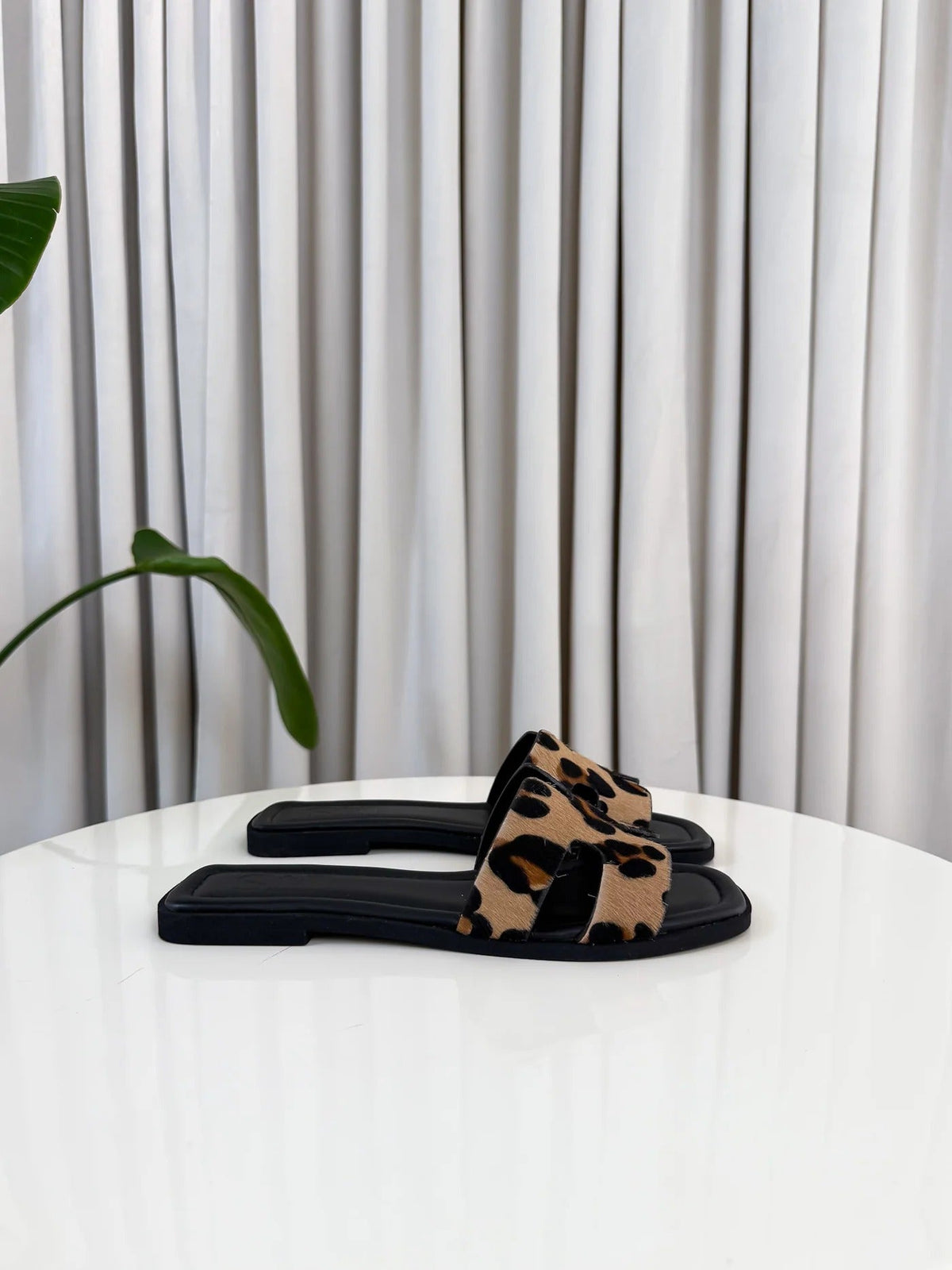 Lenoir™ | ÉDITION LIMITÉE