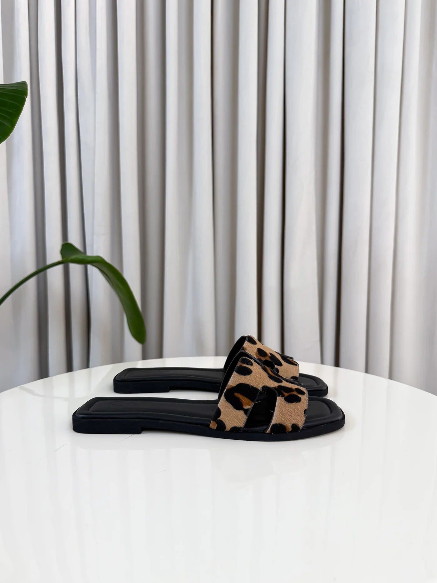 Lenoir™ | ÉDITION LIMITÉE